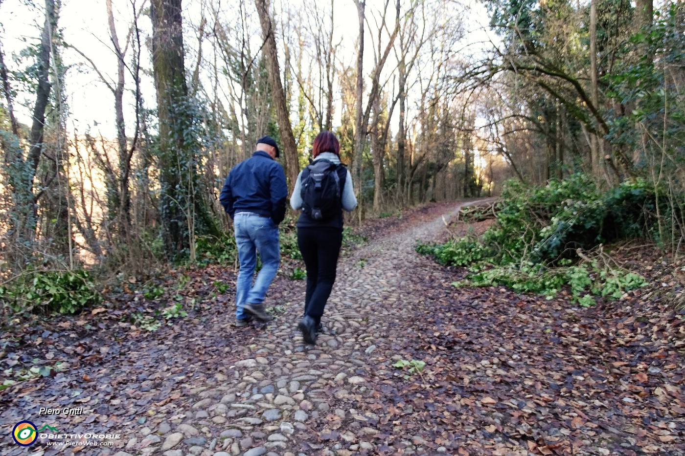 13  Salendo  Via Rizzolo del Pascolo , nel bosco,  acciottolata.JPG